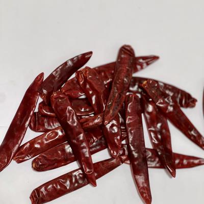 રેશમ પટ્ટો (Resham Pato)