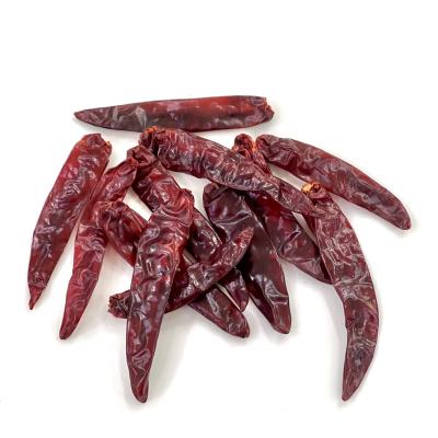 કુમઠી (KUMATHI)