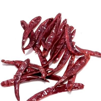 ભદ્ર્ચલમ (BHADRACHALAM)