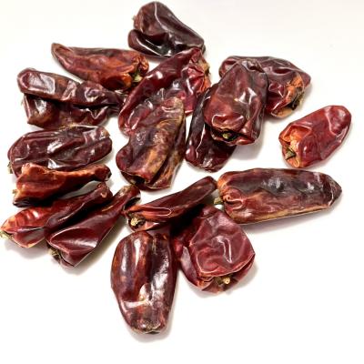 ઘોલર (GHOLAR)