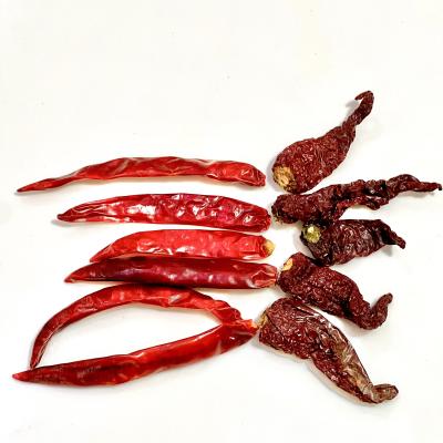 મોરૂ અને લાલ (MILD SPICY AND RED)