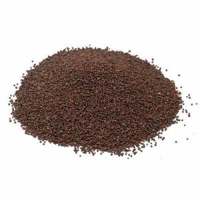 રાઈ (RAY MUSTARD)