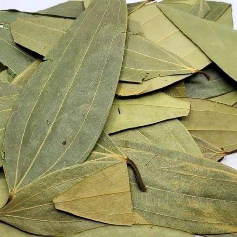 તજપાન (TAJ PAN)