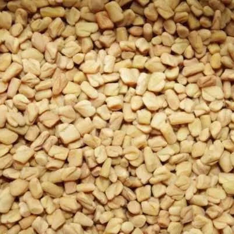 મેથી (METHI)