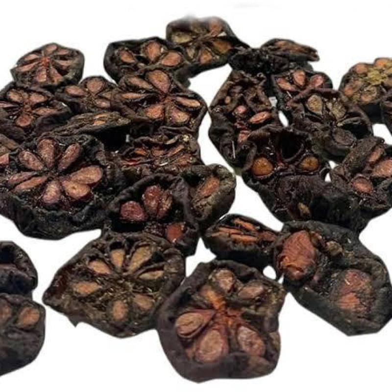 કોકમ (KOKAM)