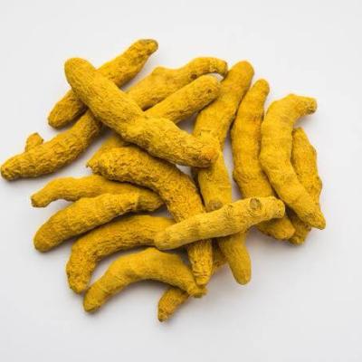 હળદર સેલમ (HALDAR SELAM)