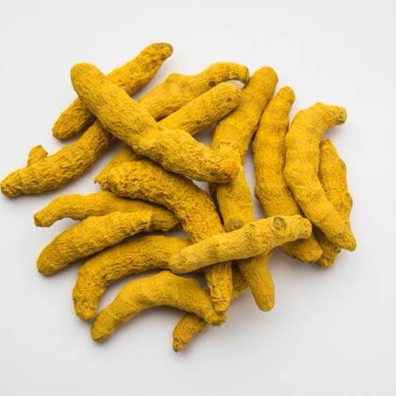 હળદર સેલમ (HALDAR SELAM)