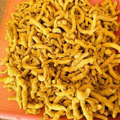 હળદર મૂળો (HALAR MULA)