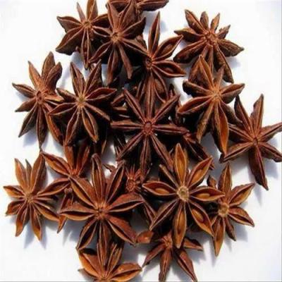 બાદિયા (BADIYA STAR ANISE)
